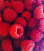 yummy fresh raspberries