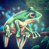 Green frog mural