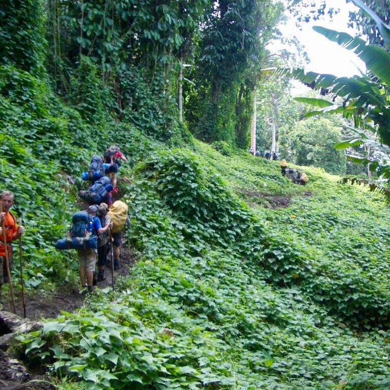 Trekking through the jungle on the Kokoda Track