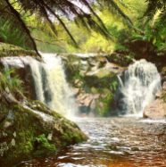 Halls Falls at Pyengana Tasmania