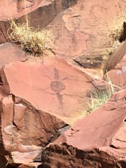 Lizard rock engraving dating back 45000 years, in the Flinders ranges