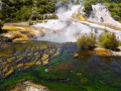 Orakei Korako - a great place to visit in New Zealand