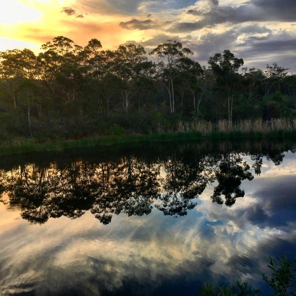 A bush sunset with reflection on the dam