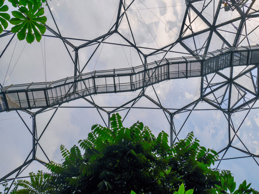 Look up at the Eden Project