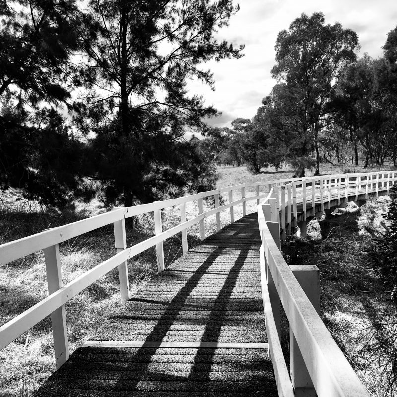 A walk in Umbagong District Park in Canberra