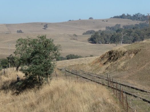 Views along the Tumbarumba to Rosewood Rail Trail