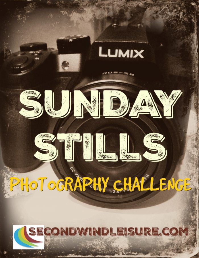Sunday Stills photo challenge