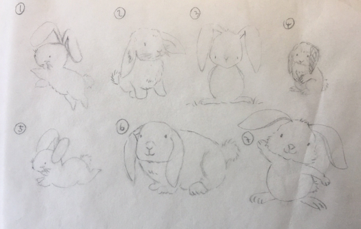 Rabbit sketches