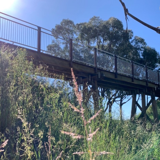 Bridge over Sawpit Creek on Tumbarumba to Rosewood Rail Trail